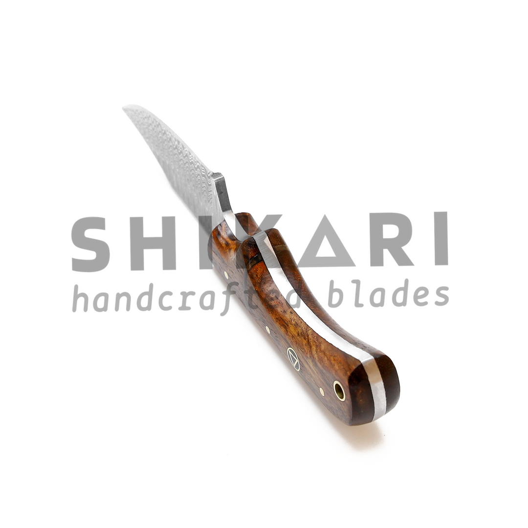 SQL-010 Damascus Hunting  Knife