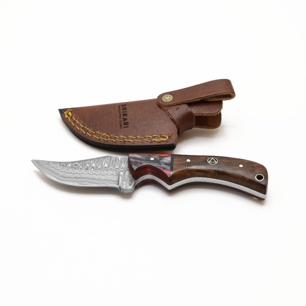 SQL-022 Damascus Skinner Knife - Image 4
