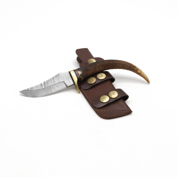 DAR-109 Hunting Knife - Image 3