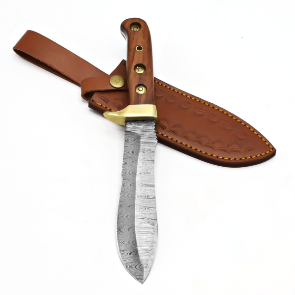 DAR-123 Hunting Knife - Image 4