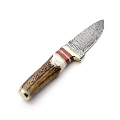 GK-027 Damascus Hunting Knife with Stag Handle